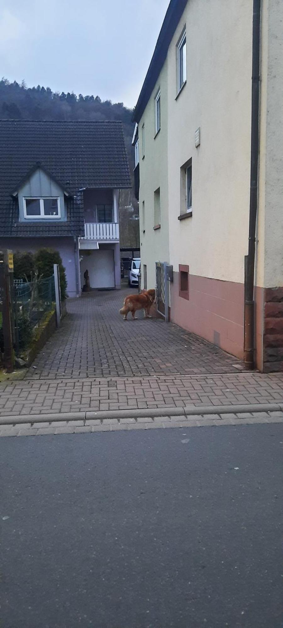 Main Zu Hause Villa Eichenbuhl  Kültér fotó